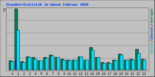 Stunden-Statistik im Monat Februar 2026