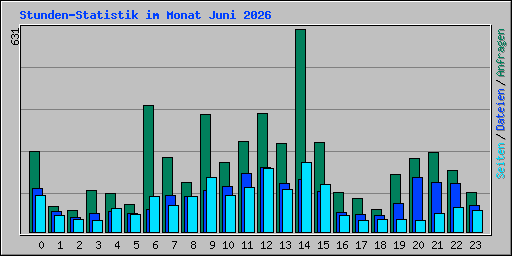 Stunden-Statistik im Monat Juni 2026