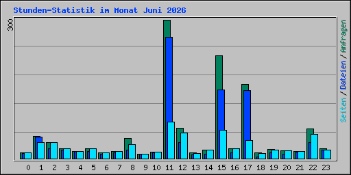 Stunden-Statistik im Monat Juni 2026