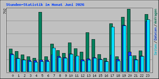 Stunden-Statistik im Monat Juni 2026