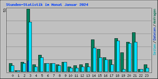 Stunden-Statistik im Monat Januar 2024